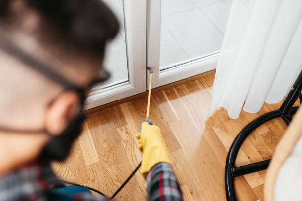 istockphoto 1354233767 612x612 istockphoto 1354233767 612x612