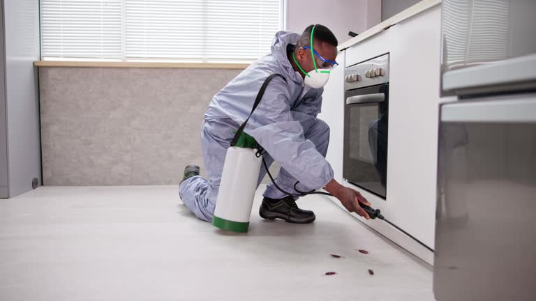 male pest control worker with spraying pesticide in kitchen male pest control worker with spraying pesticide in kitchen